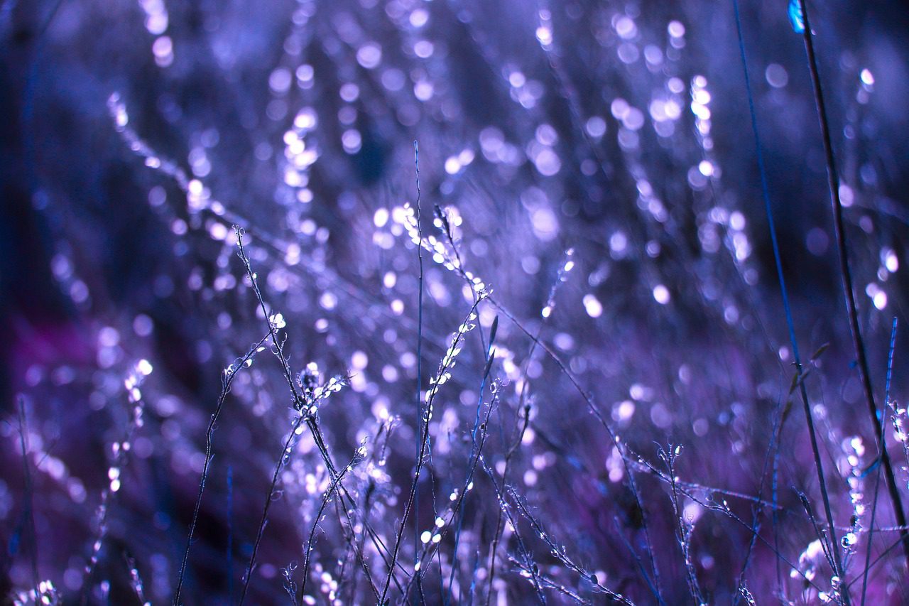 Illustration symbolique d’une lecture d’âme, de l’écoute intuitive et de l’exploration du chemin intérieur